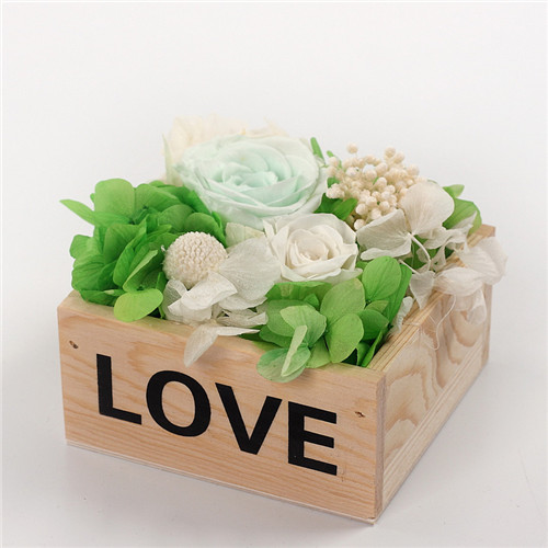 ɱrrľlove\G